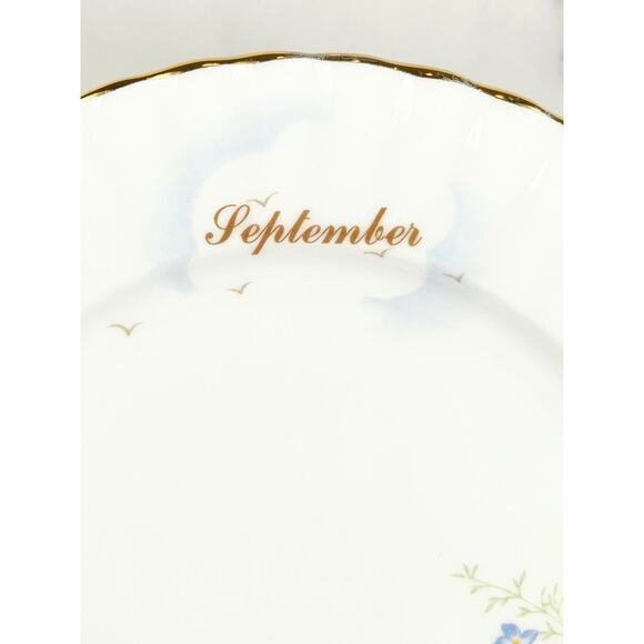 Royal Albert September Forget Me Nots Wild Flower 1987 Bone China 8" Decor Plate - Picture 3 of 11